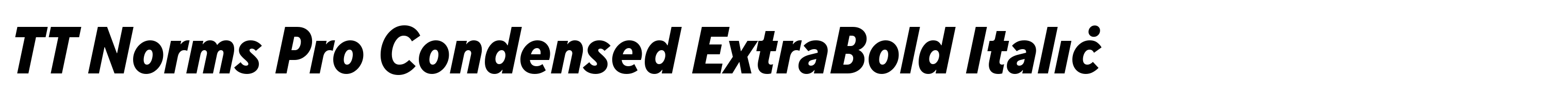TT Norms Pro Condensed ExtraBold Italic